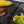 Cargar imagen en el visor de la galería, Plancha de asar GastroBack