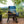 Cargar imagen en el visor de la galería, Barbacoa de Pellets Traeger IRONWOOD 885
