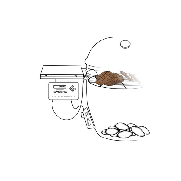 Cable para control temperatura bbq-guru