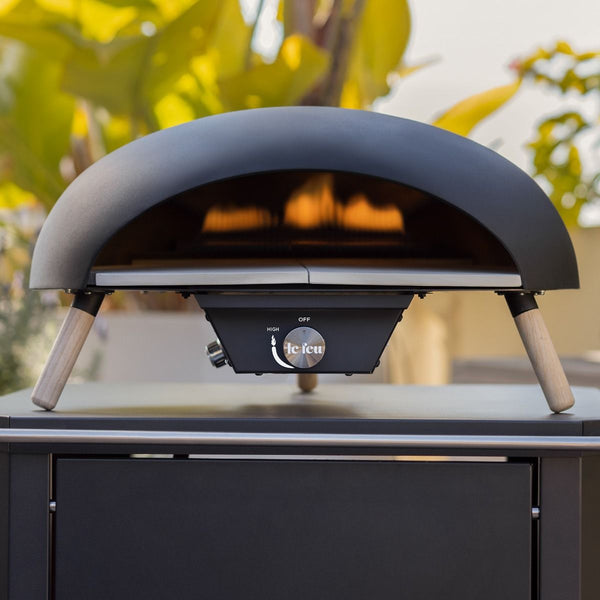 Le Feu Turtle pizza oven